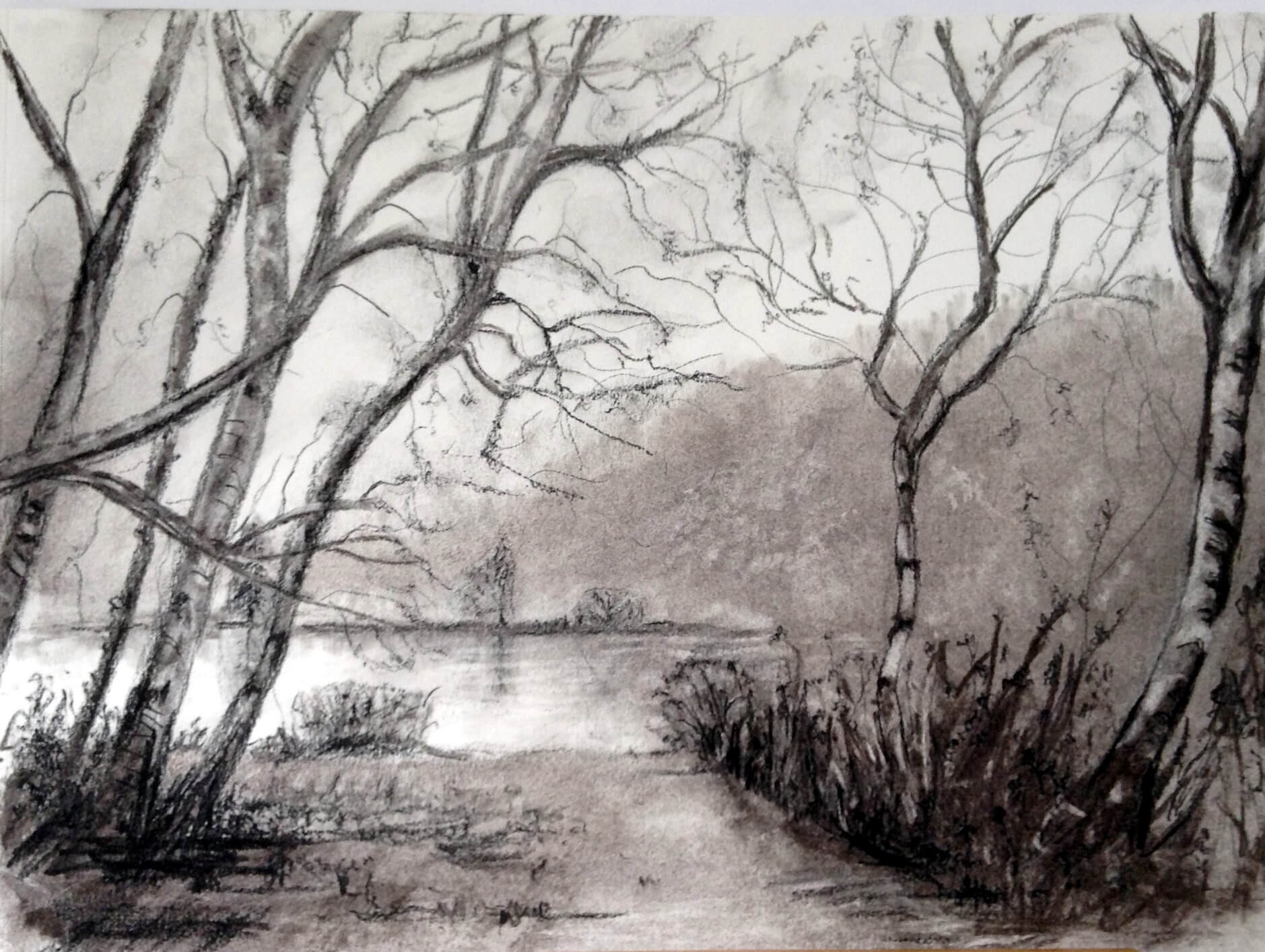 Abstract Charcoal 3