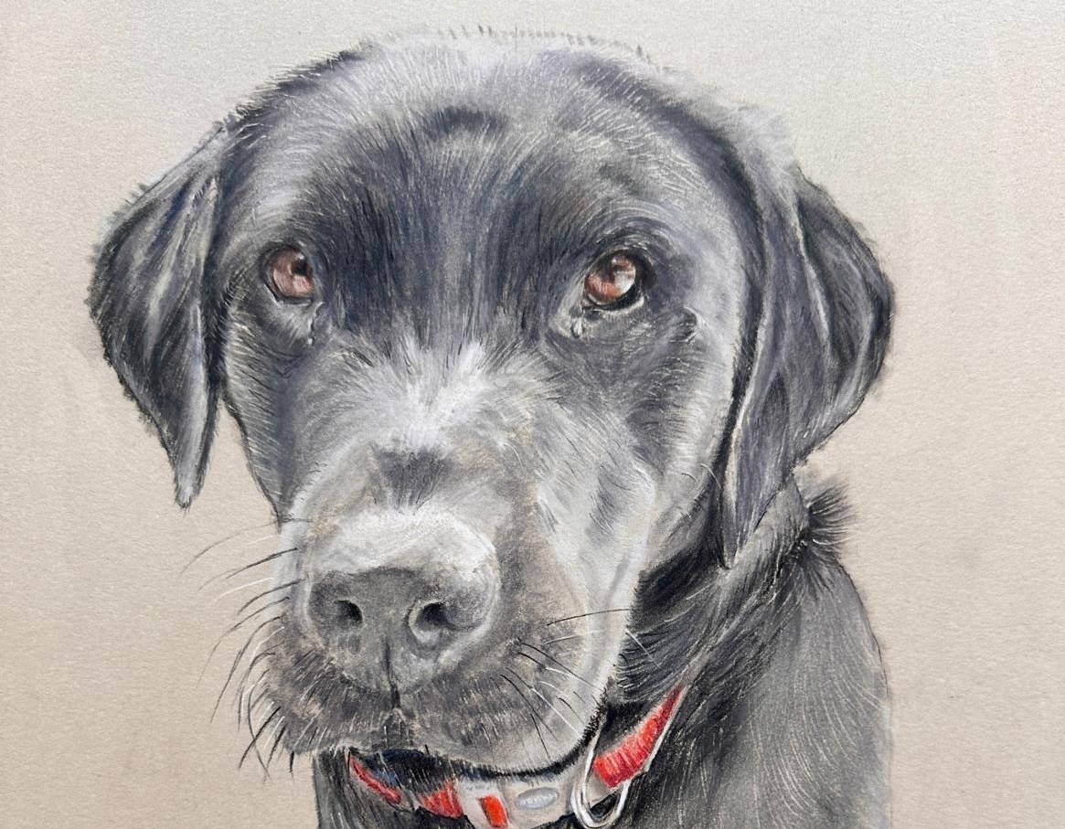 Pastels Artwork